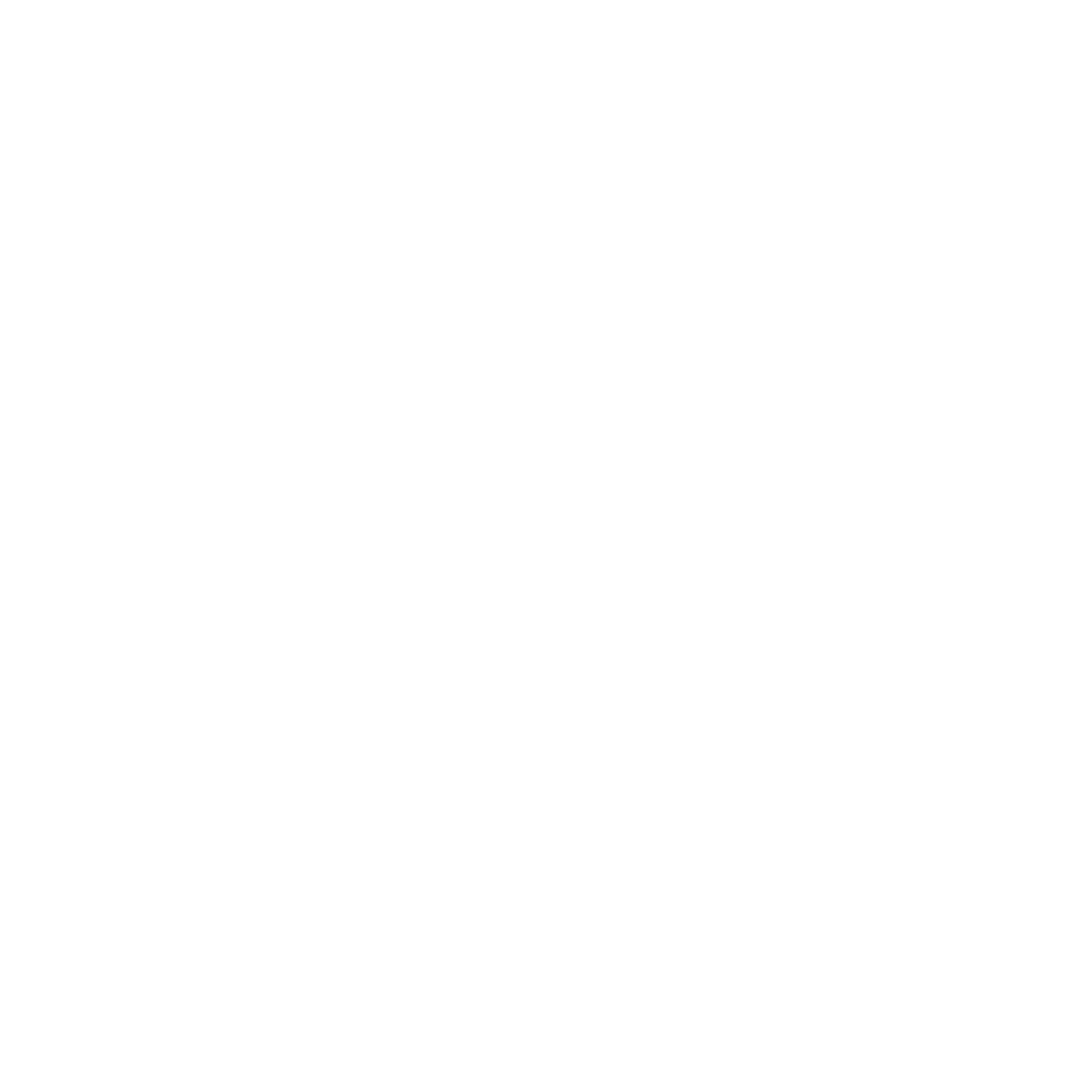 Saenstore Logo